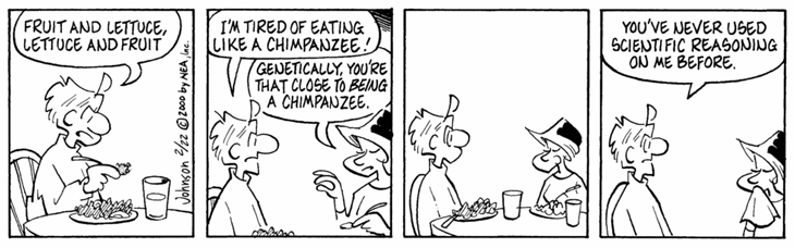 2000-02-22-chimp-food.gif