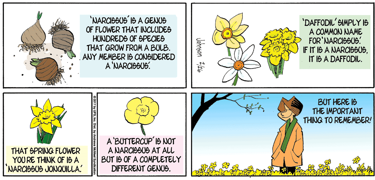 A Botany Lesson