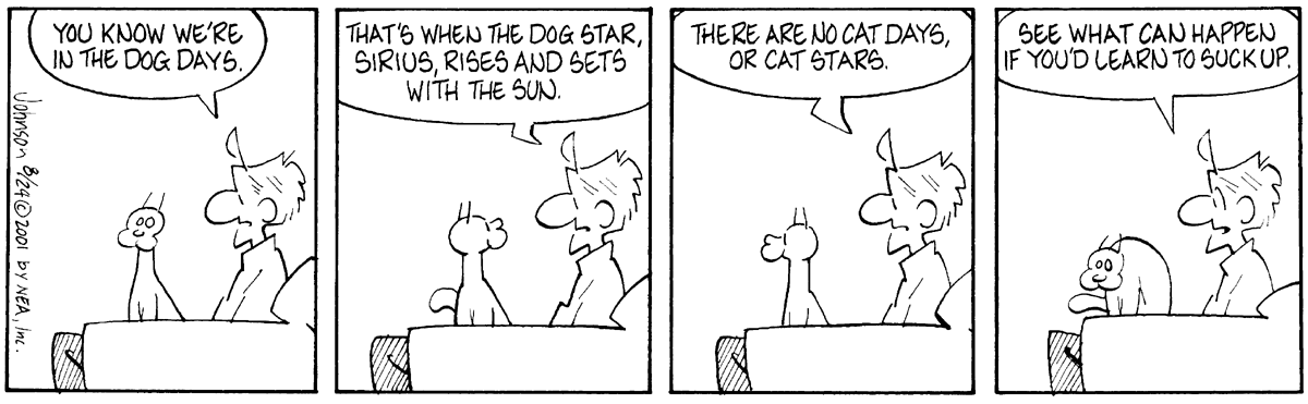 Why There’ll Never Be a ‘Cat Star’